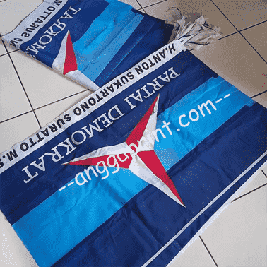 Custom Political Party Flag Printing — Weatherproof & Color Accurate (2)