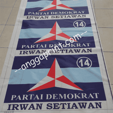 Custom Political Party Flag Printing — Weatherproof & Color Accurate