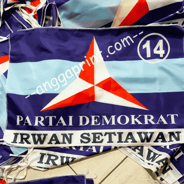 Custom Political Party Flag Printing — Weatherproof & Color Accurate (3)